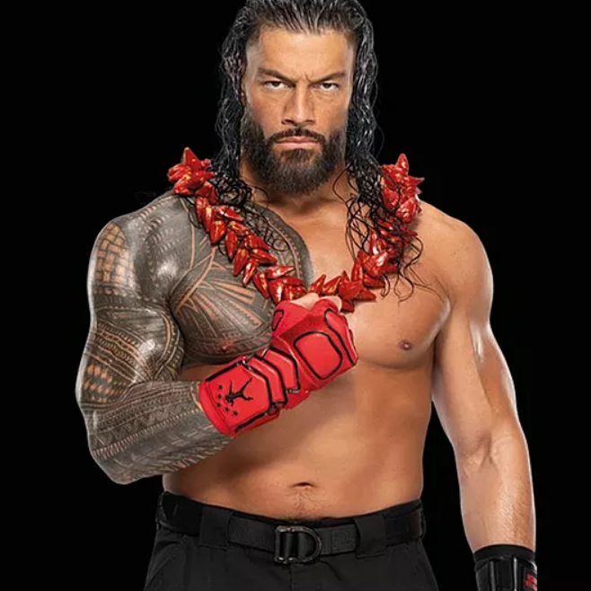 Playmobil - WWE® Roman Reigns